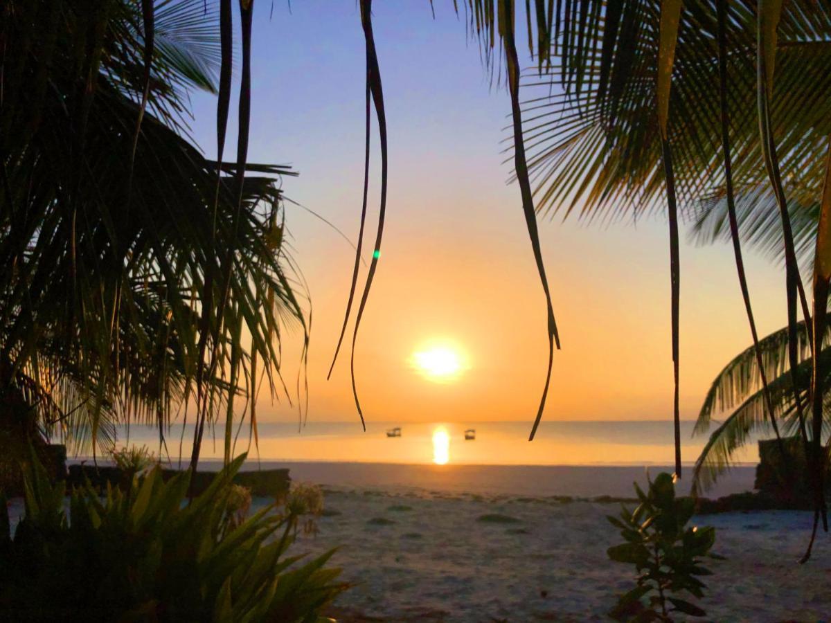Coconut Village Beach Resort Діані-Біч Екстер'єр фото